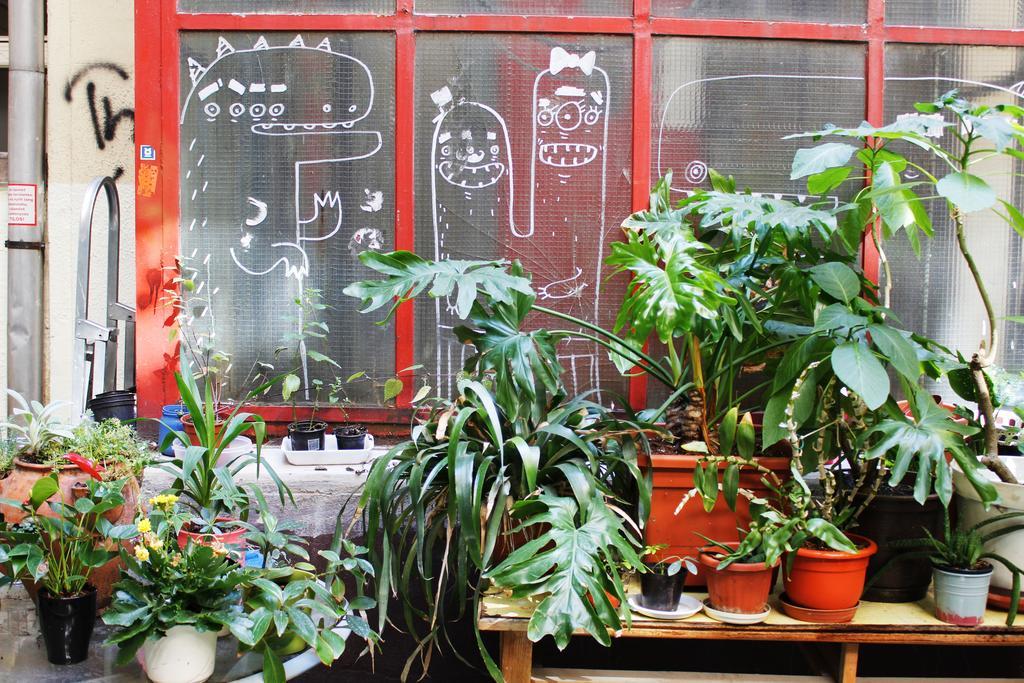 Dbc Hostel 부다페스트 외부 사진